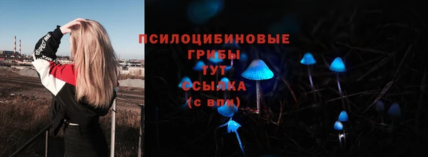 герыч Алексин