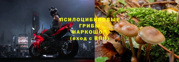 индика Алексеевка