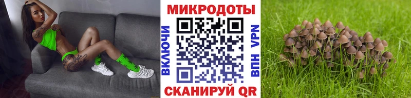 Галлюциногенные грибы ЛСД Оленегорск